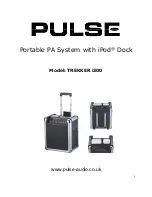 Preview for 1 page of Pulse TREKKER i300 User Instructions