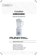 Punktal PK-292LIC Manual предпросмотр