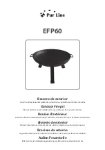 Pur Line EFP60 Manual preview