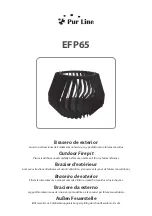 Pur Line EFP65 Manual предпросмотр