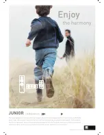 Pure Acoustics Junior C Brochure preview