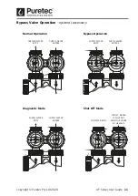 Предварительный просмотр 11 страницы Puretec UF10 Series User Manual