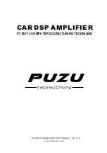 PUZU P31 Manual предпросмотр