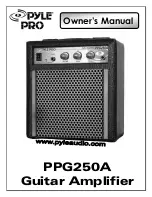 Предварительный просмотр 1 страницы Pyle Pro PPG250A Owner'S Manual