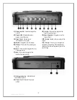 Предварительный просмотр 2 страницы Pyle Pro PPG450A Owner'S Manual