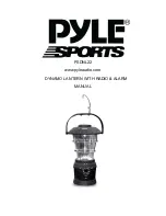 Pyle Sports PSDNL22 Manual Manual предпросмотр