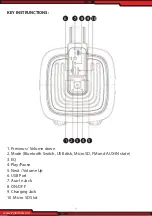 Preview for 2 page of Pyle PBMSQG12 Use Manual