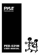 Pyle PED-021M User Manual preview