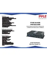 Pyle PFMRA640BB User Manual preview