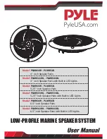 Pyle PLMRS4W User Manual предпросмотр