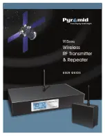 Pyramid 915 MHZ User Manual предпросмотр