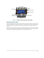 Предварительный просмотр 19 страницы Q Imaging Intensified Retiga Fast 1394 User Manual