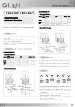 Q-Light S100E Operating Manual preview