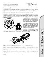 Preview for 29 page of Q-Pumps QTS 203 Operation And Maintenance Manual