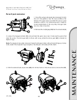 Предварительный просмотр 31 страницы Q-Pumps QTS 203 Operation And Maintenance Manual