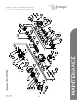 Предварительный просмотр 17 страницы Q-Pumps QTS-M08 Operation And Maintenance Manual