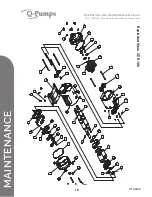 Предварительный просмотр 18 страницы Q-Pumps QTS-M08 Operation And Maintenance Manual