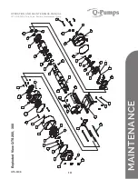 Предварительный просмотр 19 страницы Q-Pumps QTS-M08 Operation And Maintenance Manual