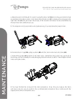 Предварительный просмотр 24 страницы Q-Pumps QTS-M08 Operation And Maintenance Manual