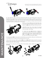 Предварительный просмотр 36 страницы Q-Pumps QTS-M08 Operation And Maintenance Manual