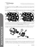 Предварительный просмотр 38 страницы Q-Pumps QTS-M08 Operation And Maintenance Manual