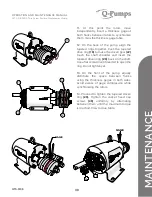 Предварительный просмотр 39 страницы Q-Pumps QTS-M08 Operation And Maintenance Manual