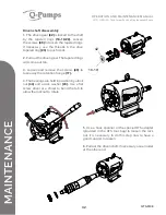 Предварительный просмотр 42 страницы Q-Pumps QTS-M08 Operation And Maintenance Manual