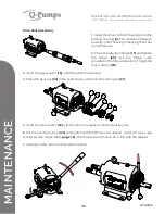 Предварительный просмотр 48 страницы Q-Pumps QTS-M08 Operation And Maintenance Manual