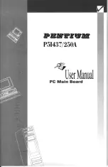 QDI P51437/250a User Manual preview