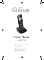 Qilive Q.4436 Manual preview