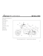 Preview for 9 page of Qlink legacy 250 User Manual