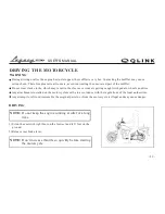 Preview for 25 page of Qlink legacy 250 User Manual