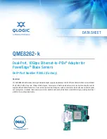 Qlogic QME8262-k Datasheet preview