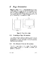 Предварительный просмотр 41 страницы QMS SmartWriter 80+ User Manual