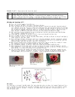 Preview for 9 page of QRPKits Hendricks PFR-3B Manual