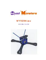 Preview for 1 page of Quad Monsters Wyvern 200 Assembly Manual