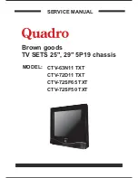 Preview for 1 page of Quadro CTV-63N11 TXT Service Manual