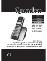 Preview for 1 page of Quadro DECT-4200 User Manual