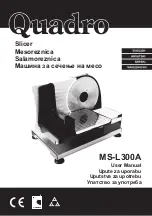 Preview for 1 page of Quadro MS-L300A User Manual