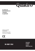 Quadro R-1001 EU User Manual предпросмотр