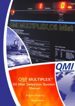 Quality Monitoring Instruments QMI MULTIPLEX Manual preview