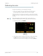 Preview for 49 page of Quantronix Cubiscan 110-XT Operation And Technical Manual