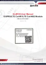 Предварительный просмотр 1 страницы Queclink QLM100 User Manual