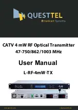 Questtel L-RF-2mW-TX User Manual предпросмотр