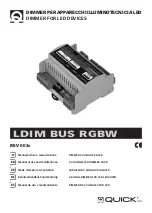 Quick LDIM BUS RGBW Manual Of Use And Maintenance preview