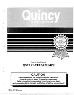 Preview for 1 page of Quincy Compressor QSVI 100 Instruction Manual