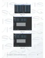 Предварительный просмотр 41 страницы Qvis Iapollo SMART dvr User Manual