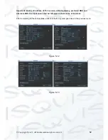 Предварительный просмотр 61 страницы Qvis Iapollo SMART dvr User Manual