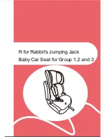 R for Rabbit Jumping Jack Manual preview