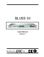 R.V.R. Electronica BLUES30 User Manual preview
